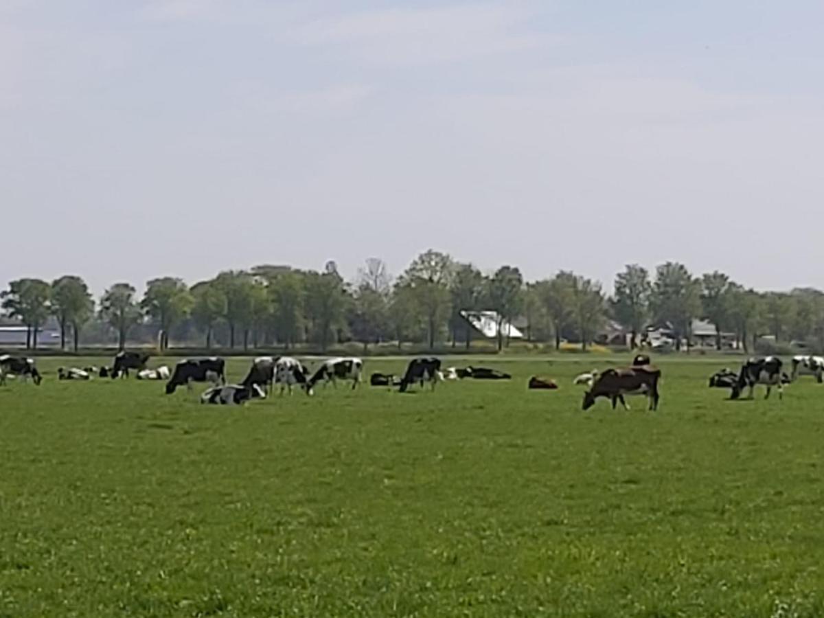 Luxe Gastenverblijf In Het Hart Van Friesland Akkrum Екстериор снимка