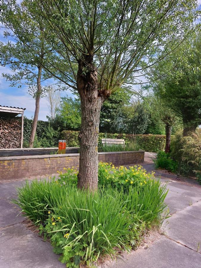 Luxe Gastenverblijf In Het Hart Van Friesland Akkrum Екстериор снимка