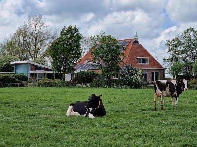 Luxe Gastenverblijf In Het Hart Van Friesland Akkrum Екстериор снимка
